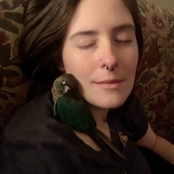 I’m Back! - Picture 1 of 1